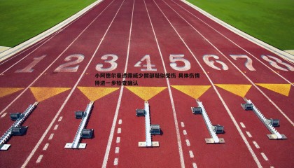 B体育-小阿德尔曼透露威少髋部疑似受伤 具体伤情待进一步检查确认