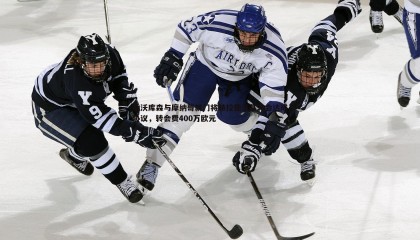 B体育-勒沃库森与摩纳哥就门将赫拉德茨基转会达成协议，转会费400万欧元