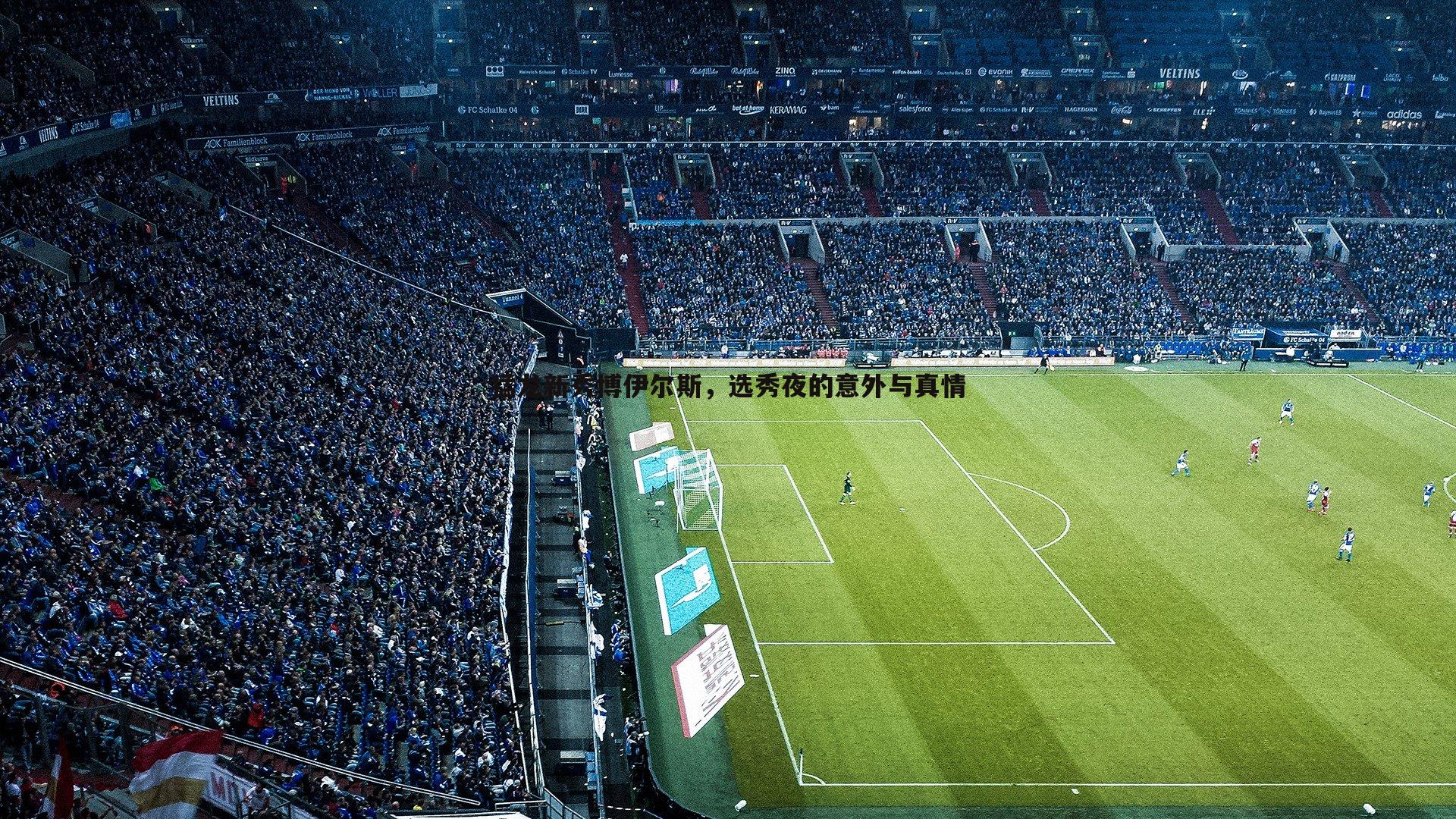 猛龙新秀博伊尔斯,选秀夜的意外与真情