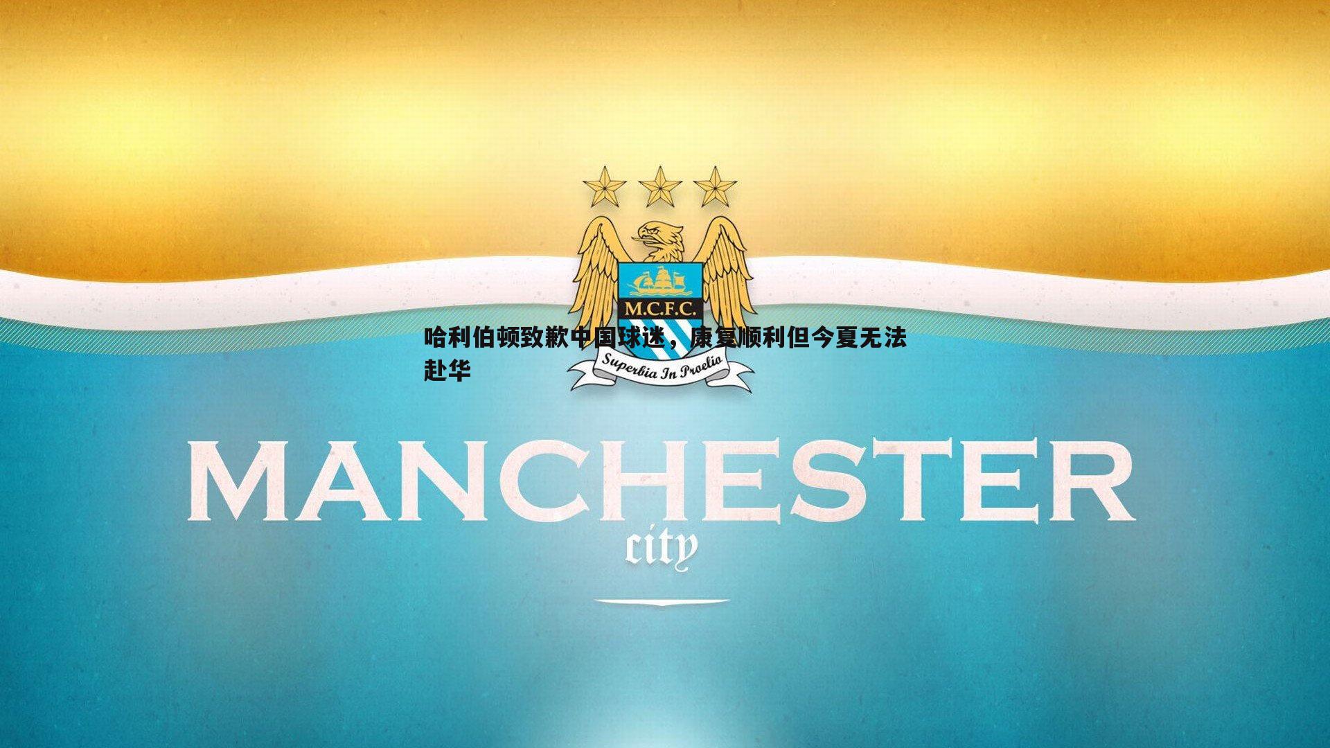 哈利伯顿致歉中国球迷,康复顺利但今夏无法赴华