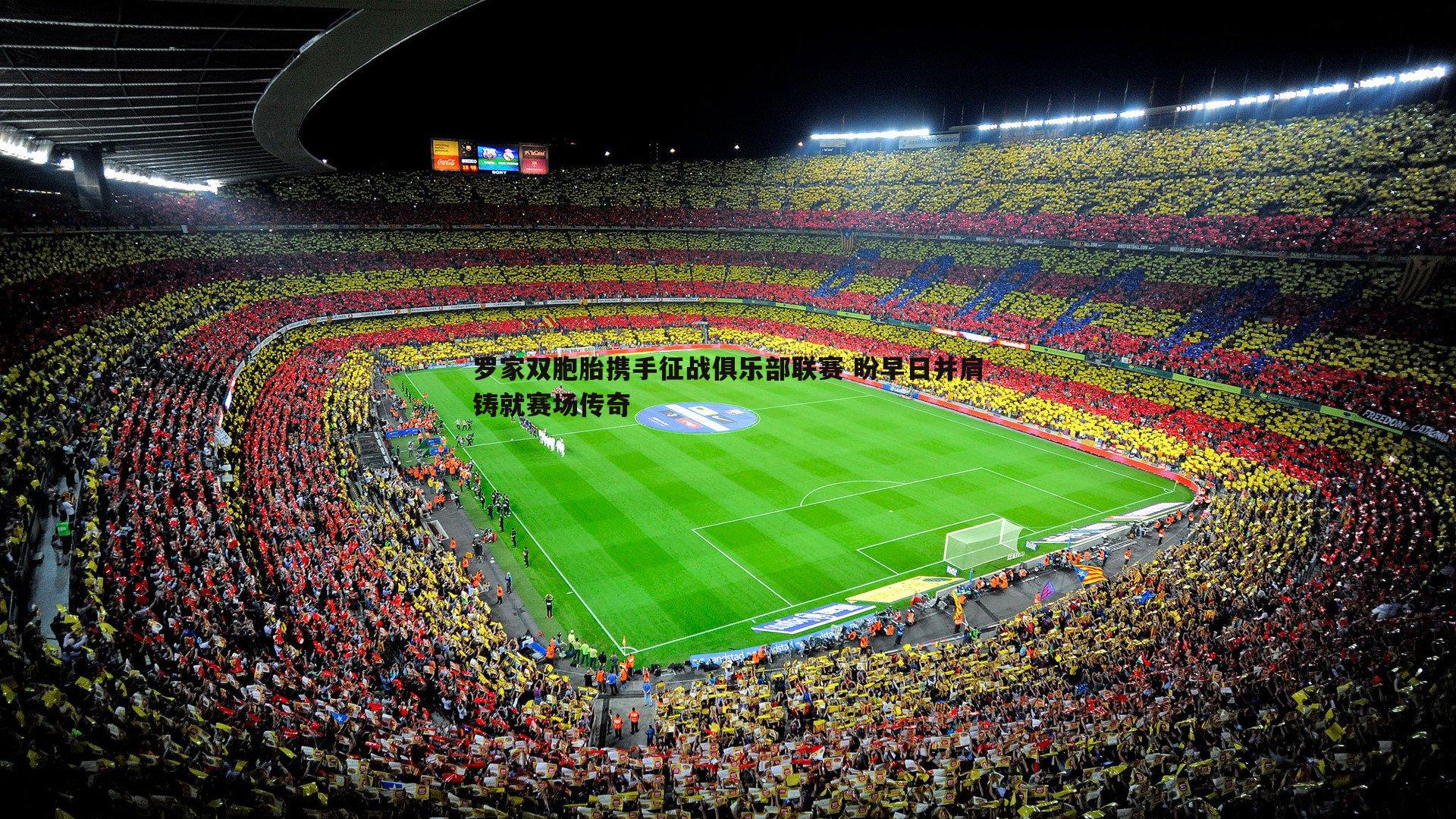 罗家双胞胎携手征战俱乐部联赛 盼早日并肩铸就赛场传奇